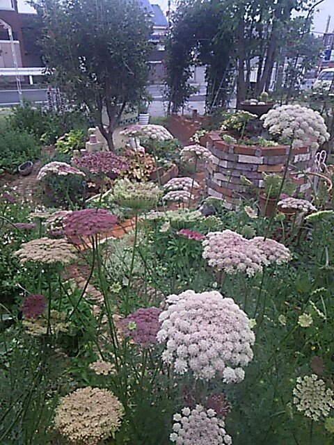 フラワーショップ花工房ふぃおーれ カフェすいーつきゃんどる Garden